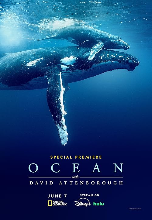 دانلود مستند Ocean with David Attenborough 2025 با زیرنویس فارسی چسبیده